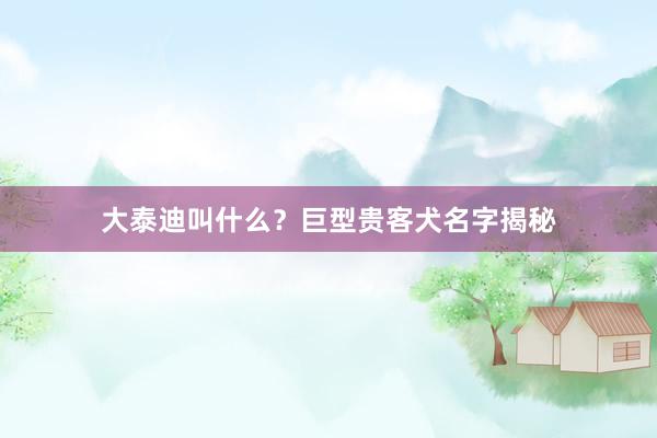 大泰迪叫什么?巨型贵客犬名字揭秘